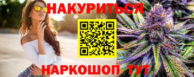 Альфа ПВП Ачхой-Мартан
