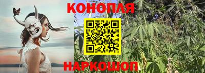 Альфа ПВП Ачхой-Мартан