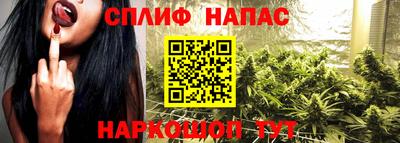 МДПВ Аша