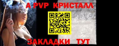Альфа ПВП Ачхой-Мартан