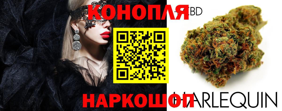 МАРИХУАНА ГИДРОПОН  Марихуана гибрид  Боровичи  Вход с VPN  Конопля индика 